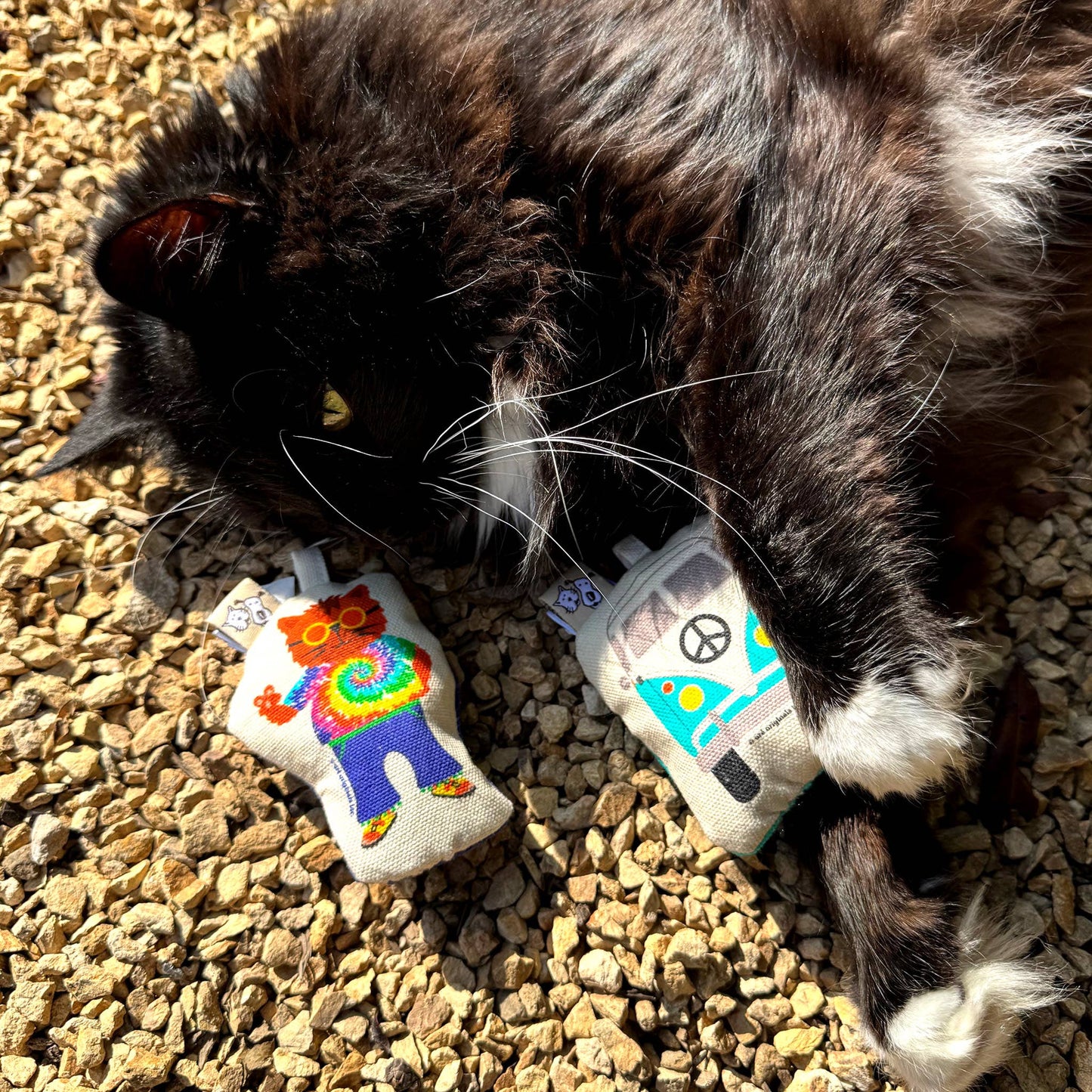 Go Kitty Go Cat Toy Set | Hippie Kitty