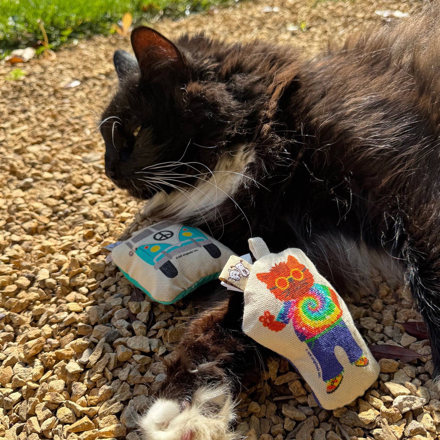 Go Kitty Go Cat Toy Set | Hippie Kitty