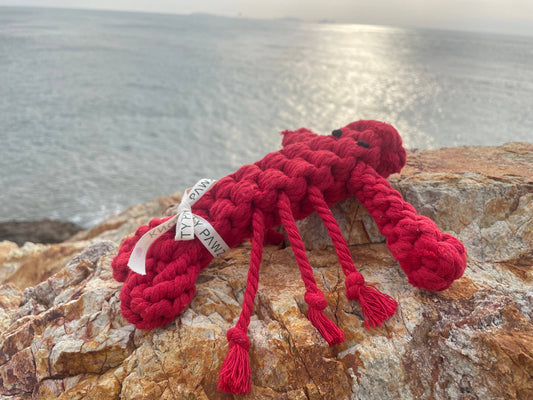 Ocean Pals Rope Toys: Lobster｜Jumbo