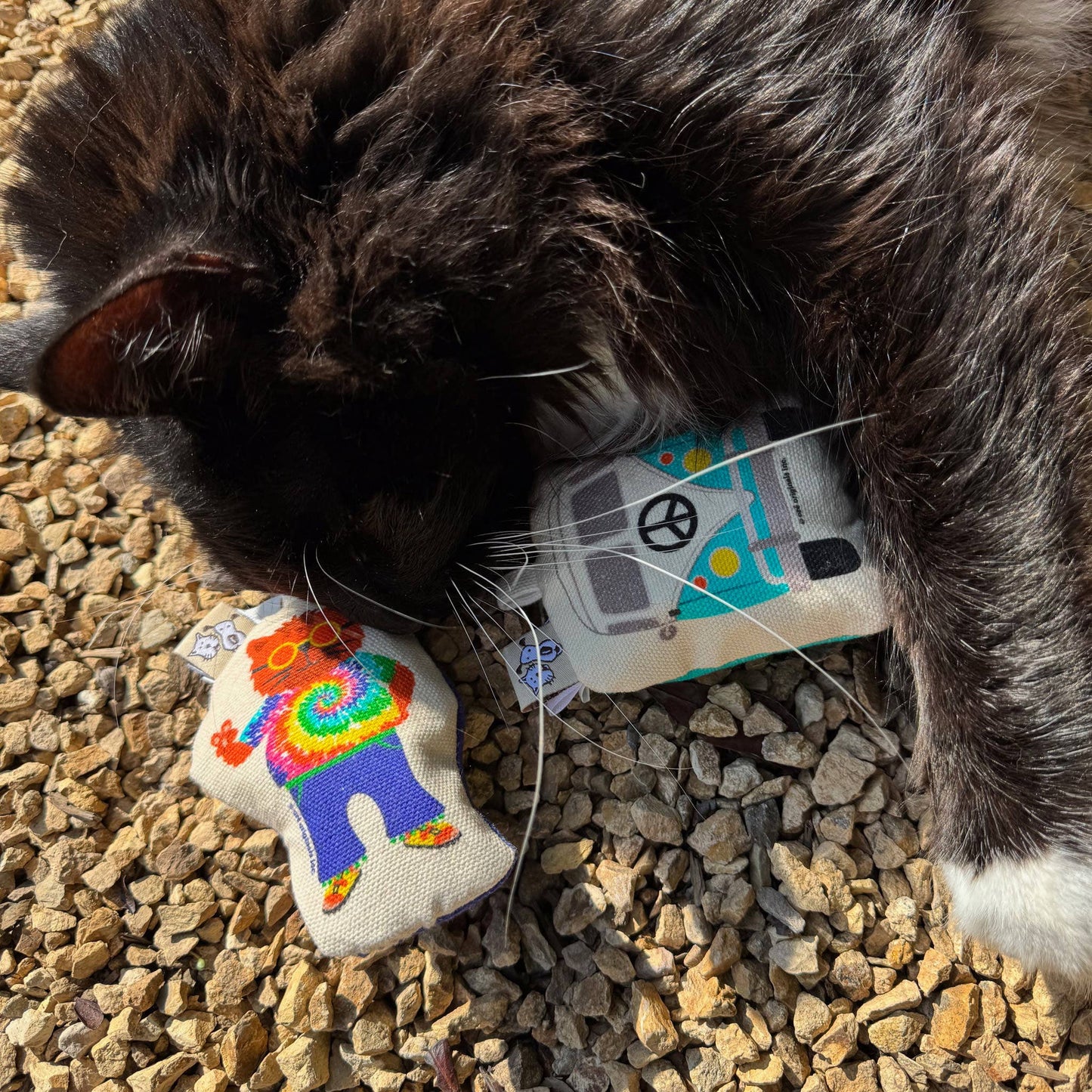 Go Kitty Go Cat Toy Set | Hippie Kitty