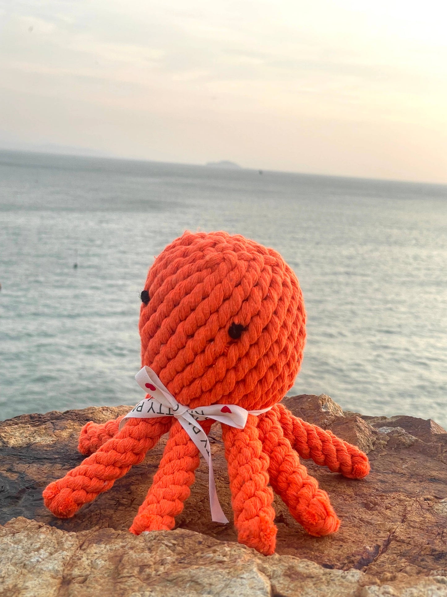 Ocean Pals Rope Toys: Lobster｜Jumbo