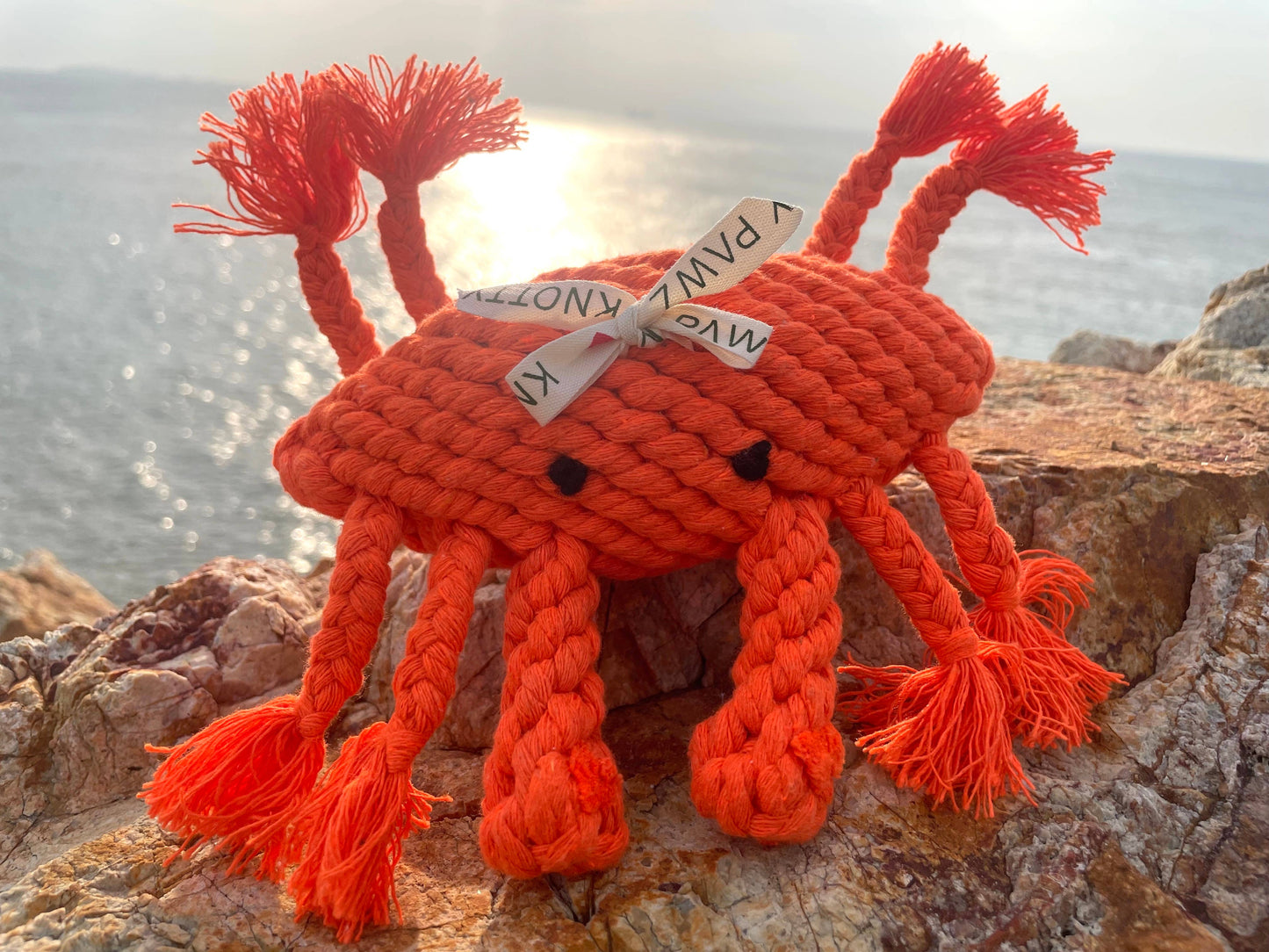 Ocean Pals Rope Toys: Lobster｜Jumbo